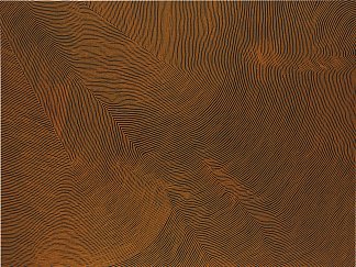 无题 Untitled (2007)，Warlimpirrnga Tjapaltjarri