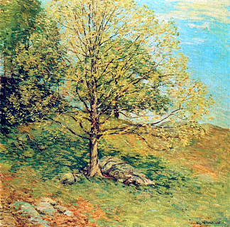 萌芽橡木 Budding Oak (1906)，乌伊拉德·梅特卡夫