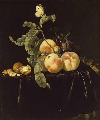 水果静物 Still Life of Fruit (1667)，威廉凡·万·艾斯特