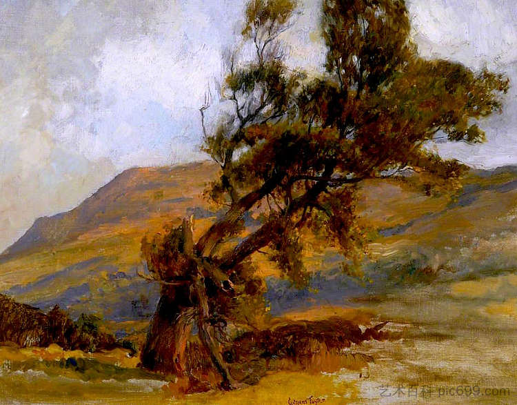北约克郡朗斯威克附近的老树 Old Tree near Runswick, North Yorkshire,威廉·吉尔伯特·福斯特