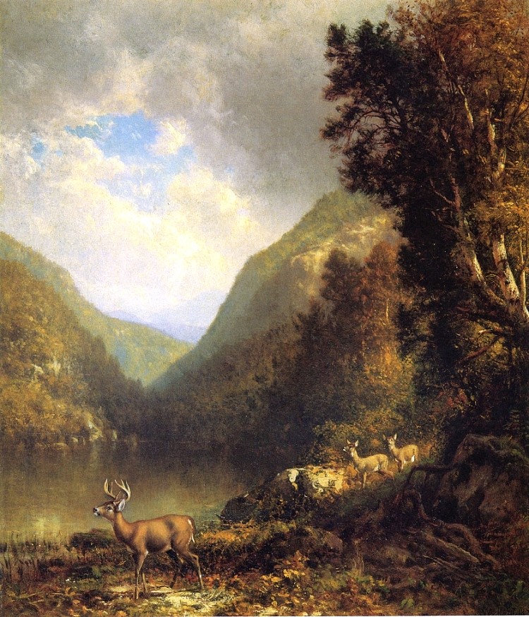 阿迪朗达克的鹿 Deer in the Adirondacks (1878)，威廉·哈特