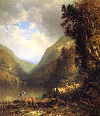 阿迪朗达克的鹿 Deer in the Adirondacks (1878)，威廉·哈特