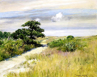 辛尼科克山 Shinnecock Hills (c.1895)，威廉·梅里特·切斯