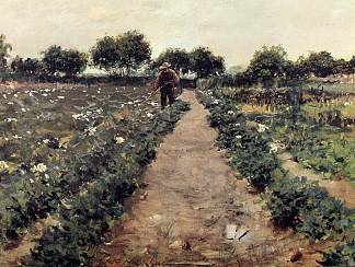 马铃薯地，又名花园辛尼科克 The Potato Patch, aka Garden Shinnecock (c.1893)，威廉·梅里特·切斯