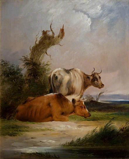 奶牛，白色的奶牛站立 Cows, White Cow Standing，威廉·沙耶