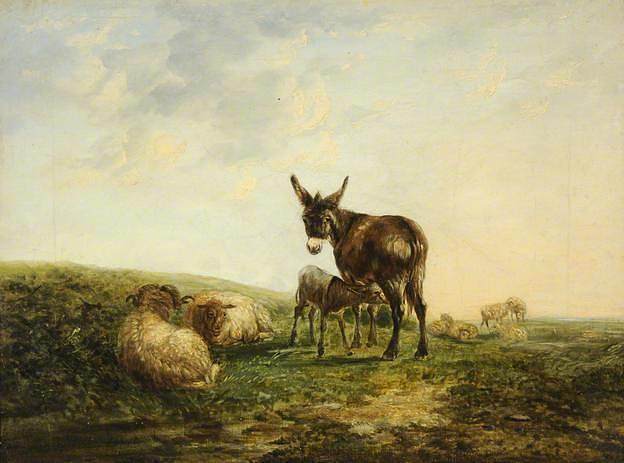 驴和羊 Donkey and Sheep，威廉·沙耶