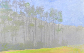 蓝色雾霾中的树线 Treeline in a Blue Haze (2008)，沃尔夫卡恩