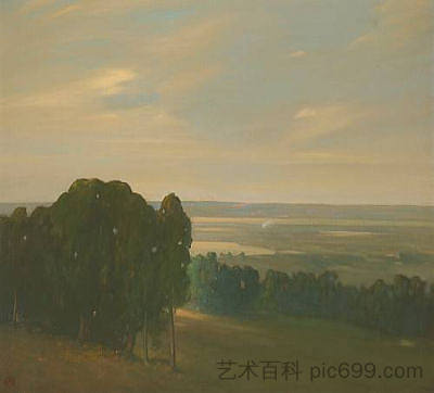 广袤景观中的桉树林 Eucalyptus Grove in a Vast Landscape，泽维尔·马丁内斯