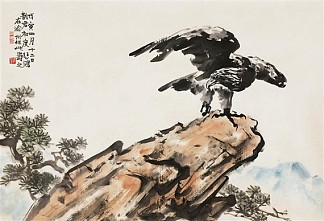 鹰 Eagle，徐北红