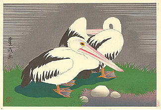鹈鹕 Pelicans (1924)，山村豊成