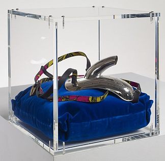 防手淫装置 ANTI MASTURBATION DEVICE (2011)，因卡·肖尼巴雷