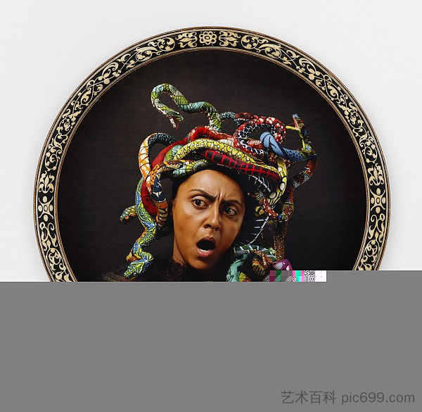 美杜莎北 MEDUSA NORTH (2015),因卡·肖尼巴雷
