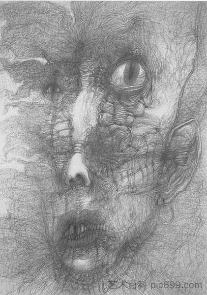 无题 Untitled,济斯瓦夫·贝克辛斯基