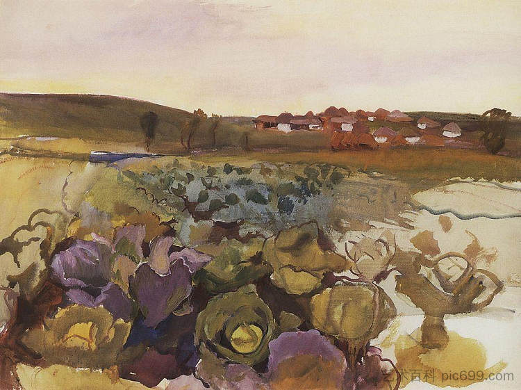 白菜。内斯库奇诺耶村 Cabbage. Village Neskuchnoye (1909),齐内达·塞莱布里阿库娃