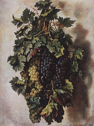 葡萄 Grapes (1936)，齐内达·塞莱布里阿库娃